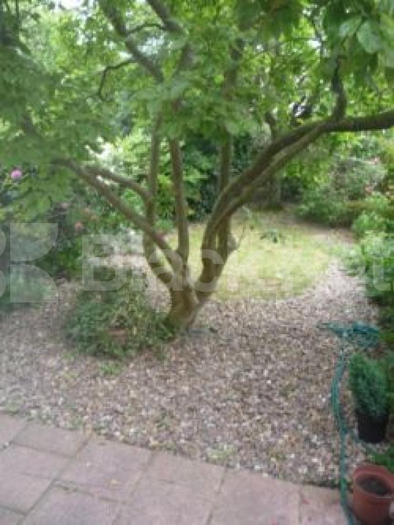 			LET!, 5 Bedroom, 1 bath, 1 reception House			 Priory Ave, Crouch End N8